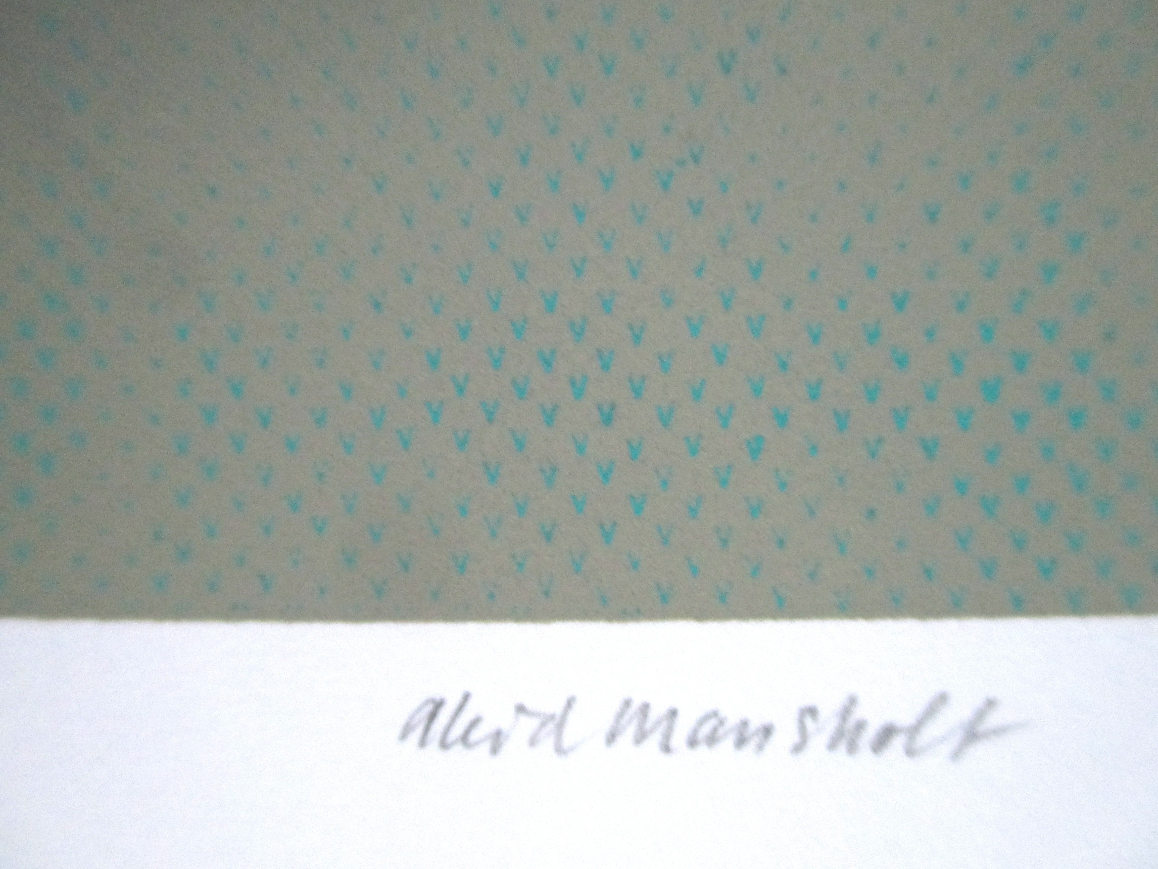 Aleid Mansholt - Zeefdruk "Stukjes" kopen? Bied vanaf 20!