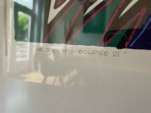 Marianne Naerebout - The age of innocence VI kopen? Bied vanaf 80!