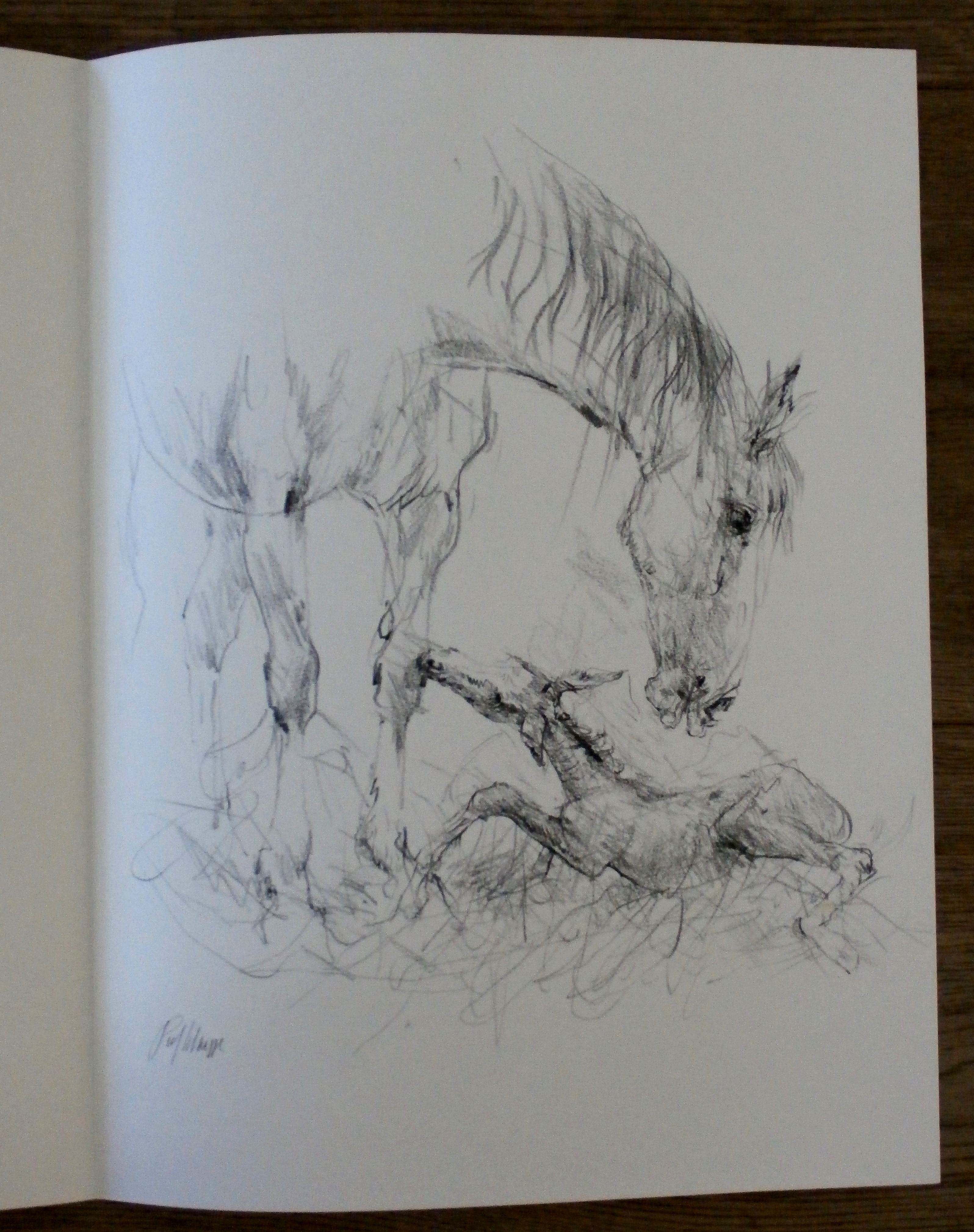 Piet Klaasse - 2 litho's - 1974 kopen? Bied vanaf 45!