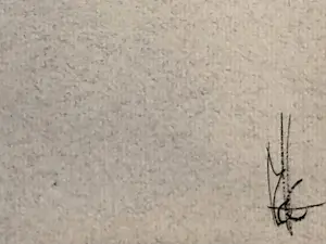 Melle Oldeboerrigter - Surrealistisch landschap kopen? Bied vanaf 110!