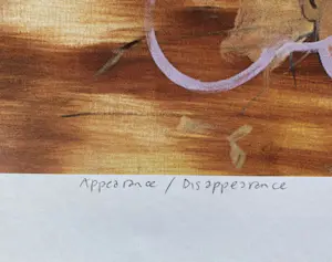 Karin Bos - Zeefdruk: Appearance / disappearance kopen? Bied vanaf 30!