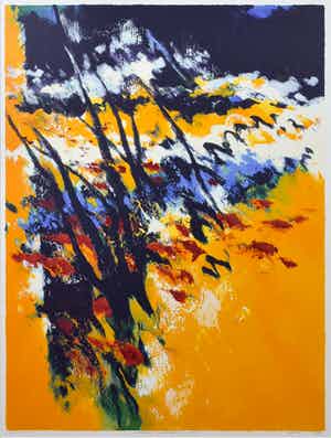 Mattie Schilders - Vormende handen van de evolutie - Ingelijst - Groot verkocht voor € 1!