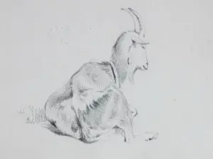 Frans Lebret - Twee tekeningen van een bok en een geit kopen? Bied vanaf 60!