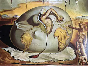 Salvador Dali - Geopoliticus die het nieuwe mensdom ziet geboren worden. kopen? Bied vanaf 50!