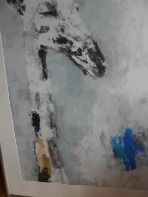 Nico Molenkamp - Zeefdruk: Giraffe mooi groot werk. kopen? Bied vanaf 275!