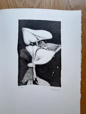 Pol Bury - Gesigneerd werk - rechtstreeks uit de kunstmap - Mooi exemplaar kopen? Bied vanaf 75!