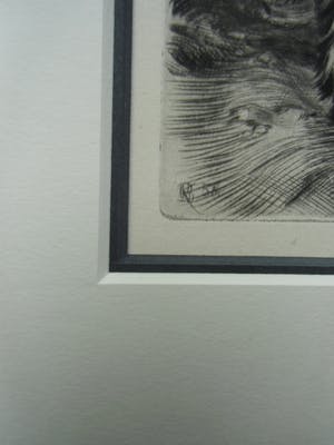 Kuno Brinks - PAARD kopen? Bied vanaf 80!