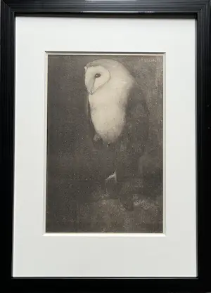 Jan Mankes - Originele Heliogravure Uil op Boomtak 1927 kopen? Bied vanaf 165!