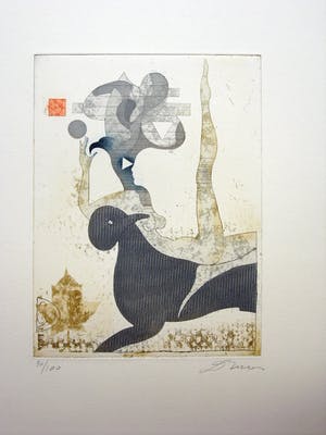 Dan Erceanu - Zaubervogel kopen? Bied vanaf 29!