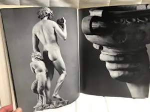 Michelangelo - sculpture of kopen? Bied vanaf 35!