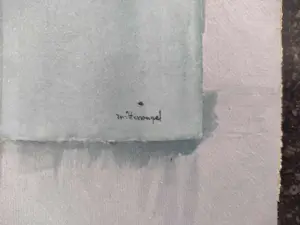 Roger Wittevrongel - kabine kopen? Bied vanaf 30!