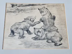 Cornelis Jan Mension - monochrome Ets op papier "spelende beertjes" - potloodgesigneerd kopen? Bied vanaf 32!