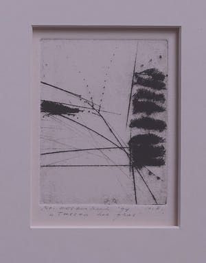 Ko Oosterkerk - Tussen het gras kopen? Bied vanaf 75!