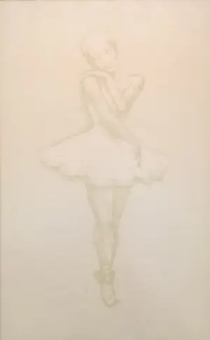 John Raedecker - 2 stuks ingelijste litho’s – man met vogel en balletdanseres kaufen? Bieten Sie von 69!