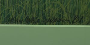 Jean Paul Vroom - Coquelicot, 1981, 42/100 - Litho op papier kopen? Bied vanaf 50!