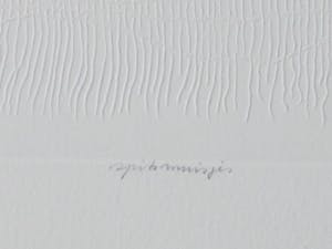 Gerard van Rooy - Spitsmuisjes - Ets met reliëfdruk kopen? Bied vanaf 65!