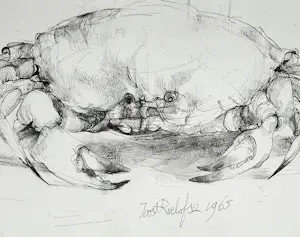 Joost Roelofsz - 4 originele ontwerpschetsen voor (boek)illustratie + uitnodiging opening kopen? Bied vanaf 125!