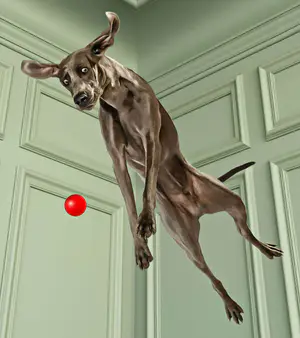 Mr. Strange - Charly Jump! kopen? Bied vanaf 85!