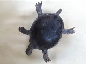 Adri de Waard - Bronzen schildpad van beeldhouwer Adri de Waard. kopen? Bied vanaf 55!