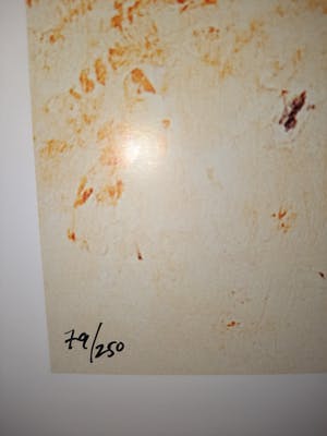 Cole Morgan - Winter, gesigneerd en genummerd kopen? Bied vanaf 40!