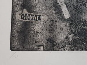 Jan Prins - Prachtige Ets - Gesigneerd in potlood kopen? Bied vanaf 1!