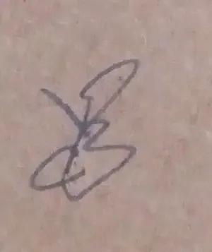 Niet of onleesbaar gesigneerd - Gemengde techniek schilderij - Gesigneerd kopen? Bied vanaf 1!