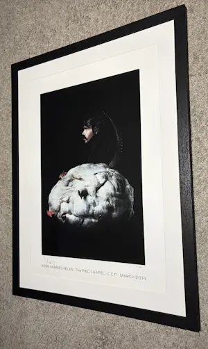 Koen Vanmechelen - Offset Koen Vanmechelen kopen? Bied vanaf 575!