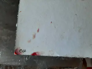 Herman Brood - Iggy, de lievelingshond van Herman Brood kopen? Bied vanaf 350!