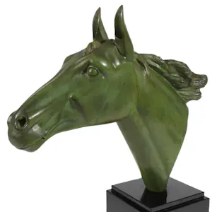 Irénée Rochard - Paard kopen? Bied vanaf 850!