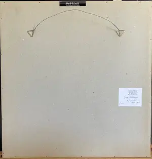 Jaap Hillenius - Mist X-1995 kopen? Bied vanaf 75!
