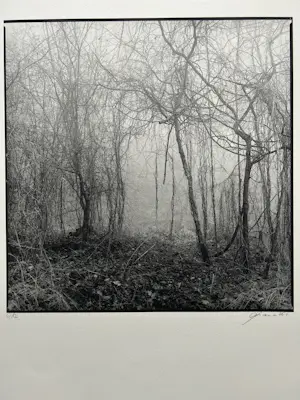 Ralph Janowski - Zonder titel kopen? Bied vanaf 28!