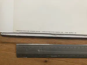 Kees van Dongen - femme aux chapeaux noir kopen? Bied vanaf 250!