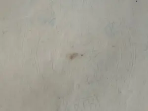 Visser Sjoerd - Markt Ibiza kopen? Bied vanaf 50!