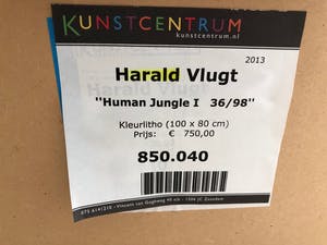 Harald Vlugt - Human Jungle 1 kopen? Bied vanaf 45!