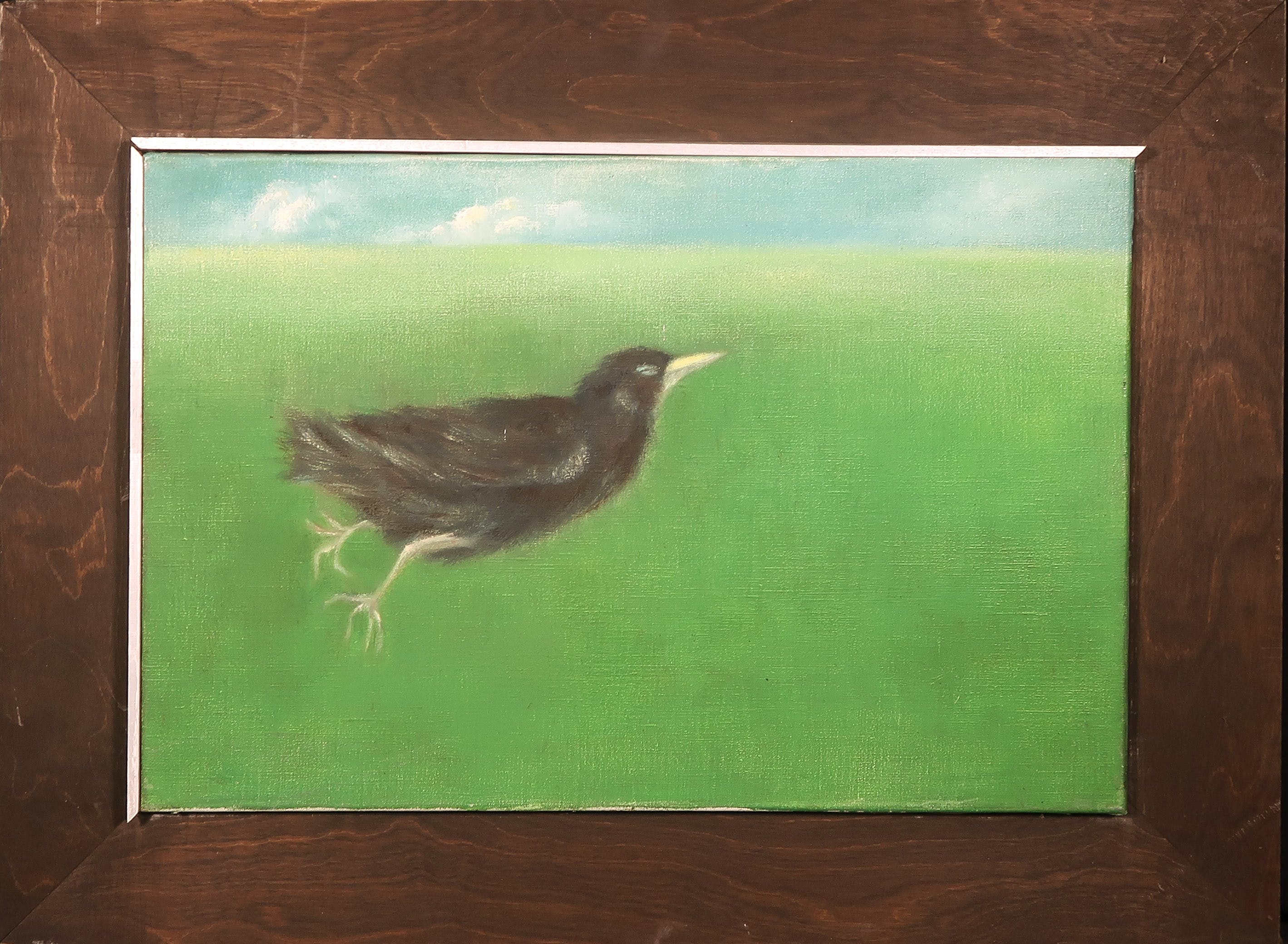 Mariette van Kemenade - Olieverf op doek, Vogel - Ingelijst kopen? Bied vanaf 20!