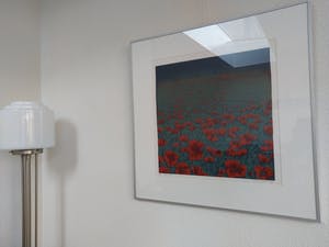 Hans Dolieslager - Klaprozen - kopen? Bied vanaf 120!