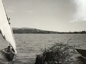 Lieve Blancquaert - Zonder titel kopen? Bied vanaf 25!