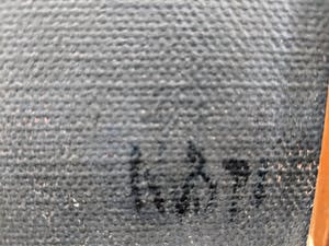 Nico van Bekkum - Gineraria's kopen? Bied vanaf 10!