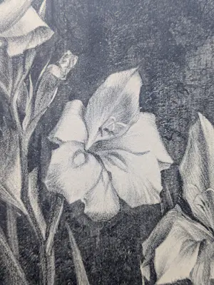 Henricus Rol - 1927-Bloemen kopen? Bied vanaf 50!