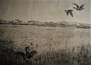 Martin van Waning - Mooie grote Droge Naald Ets - Vliegende eenden Schiermonnikoog - gesigneerd kopen? Bied vanaf 29!