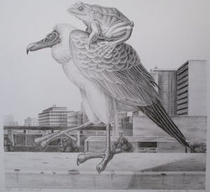 Armando Cairo - Litho "Gier met pad" kopen? Bied vanaf 40!