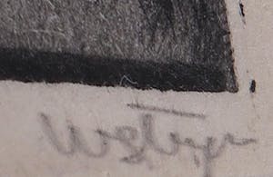 Wim Steijn - Ets, Struik kopen? Bied vanaf 20!