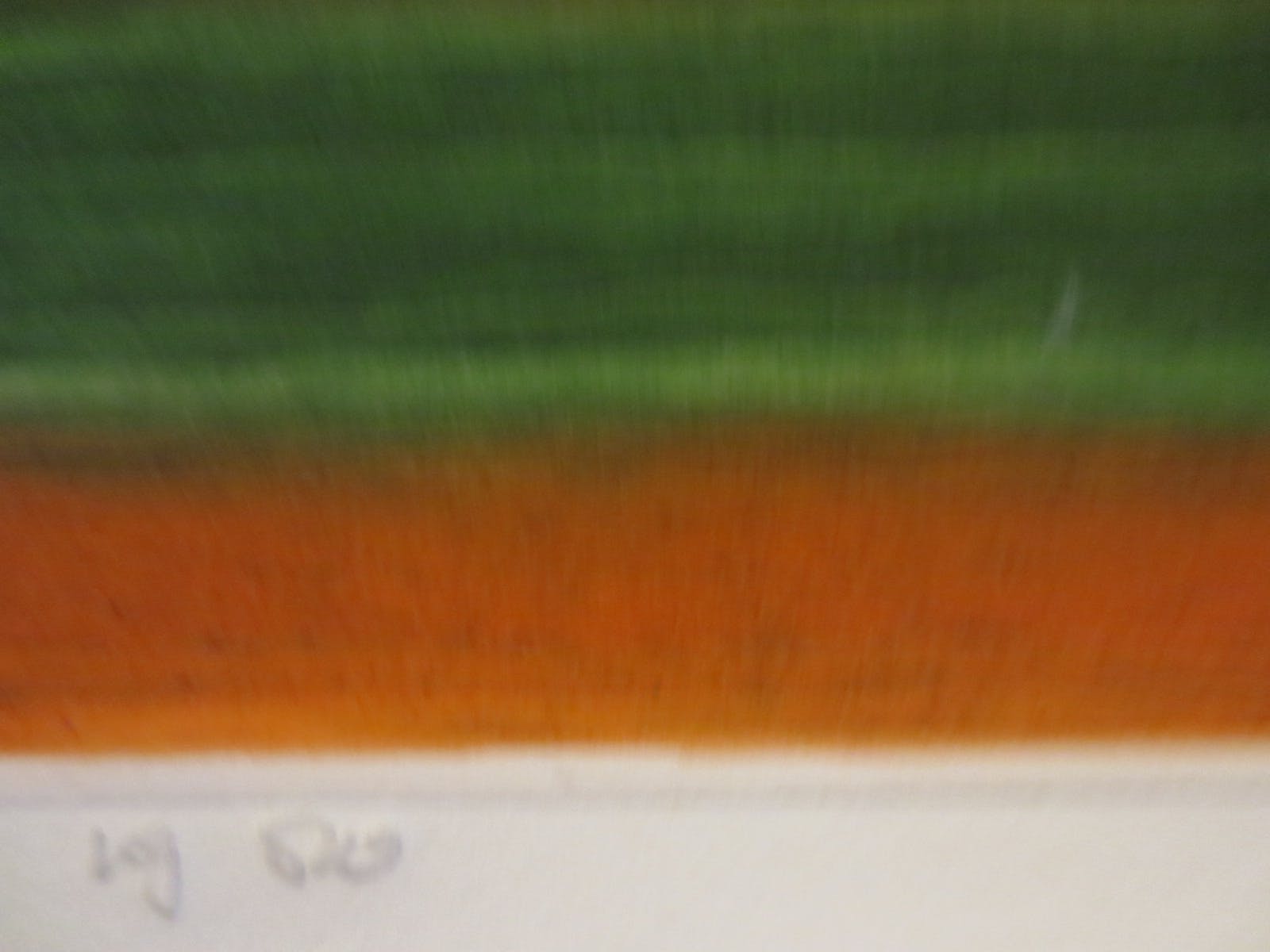 Paul Elshout - vrouw kopen? Bied vanaf 50!