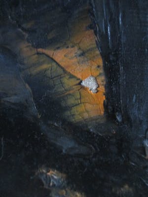 Herbert Jochems - Groot schilderij kopen? Bied vanaf 1!