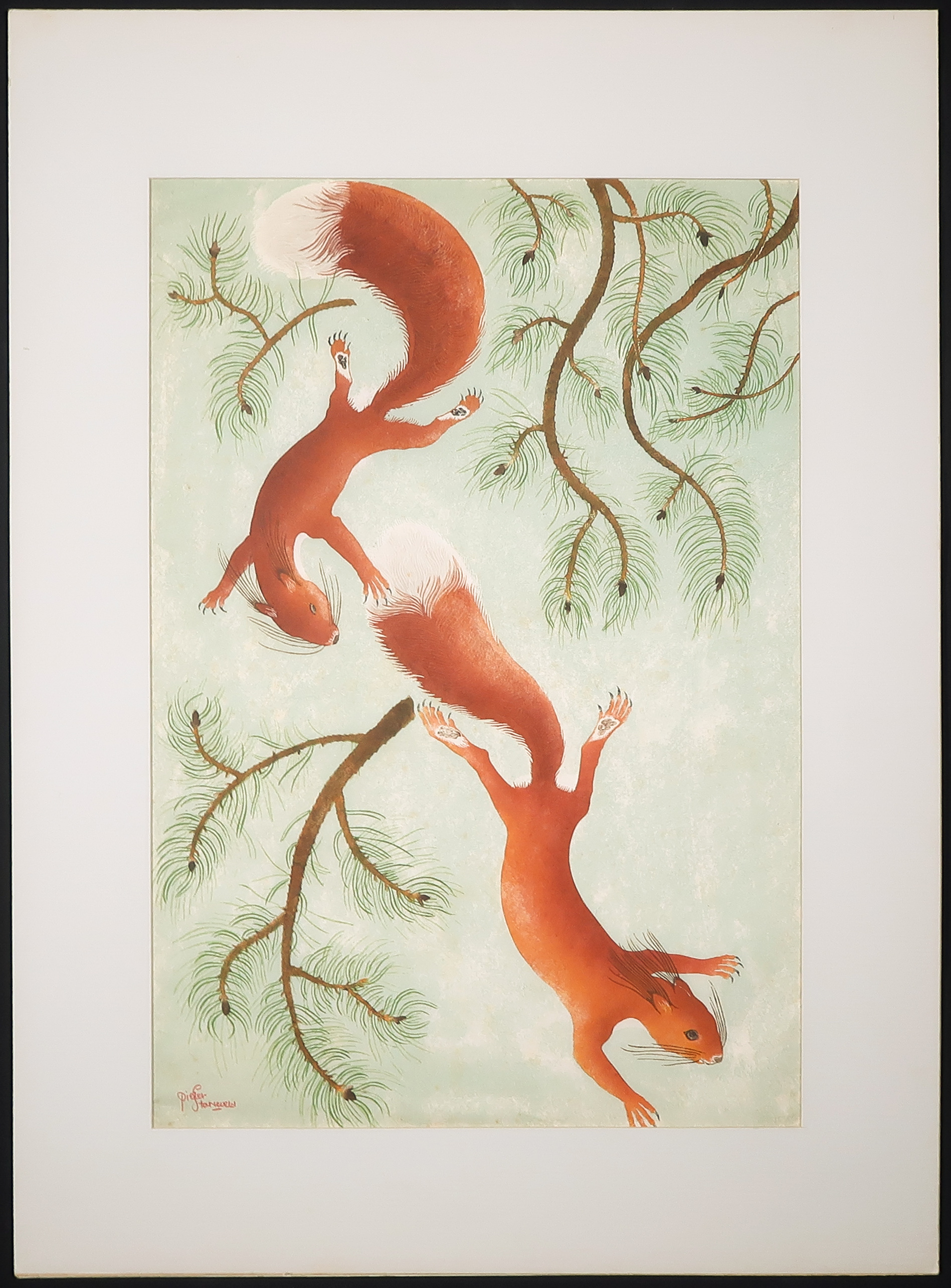 Pieter Starreveld - Lino op geschept papier, Twee eekhoorns kopen? Bied vanaf 20!