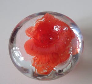 Niet of onleesbaar gesigneerd - Hand geblazen Presse papier - The World of Glass - St. Helens kopen? Bied vanaf 1!