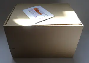 Carina Riezebos - Glaskunstbeurs jaarobject 2022 kopen? Bied vanaf 100!