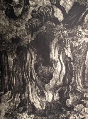 Dick van Luijn - Etsen (3x) - Natuur kopen? Bied vanaf 40!