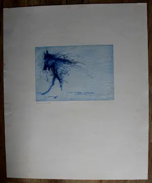 Ronald Tolman - Kleuren ets/aquatint - 1980 kopen? Bied vanaf 50!