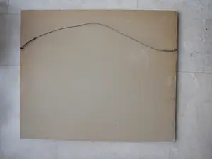 Jelle Hoogstra - Boerderijen in de winter kopen? Bied vanaf 75!